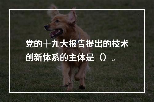 党的十九大报告提出的技术创新体系的主体是（）。