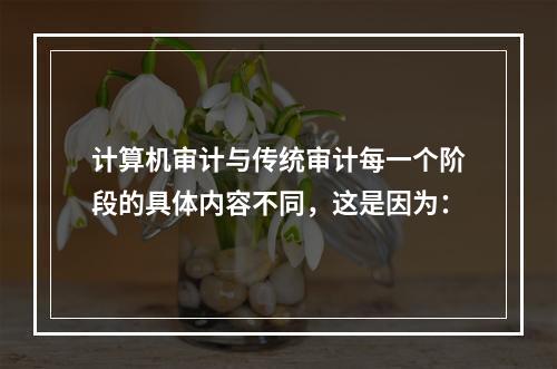 计算机审计与传统审计每一个阶段的具体内容不同，这是因为：