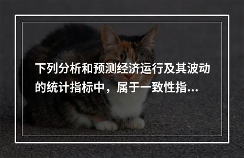 下列分析和预测经济运行及其波动的统计指标中，属于一致性指标的