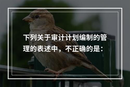 下列关于审计计划编制的管理的表述中，不正确的是：