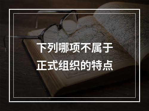 下列哪项不属于正式组织的特点