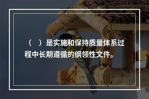 （　）是实施和保持质量体系过程中长期遵循的纲领性文件。