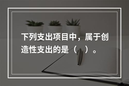 下列支出项目中，属于创造性支出的是（　）。