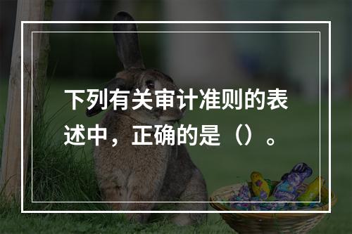 下列有关审计准则的表述中，正确的是（）。