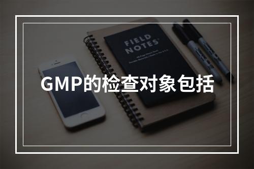 GMP的检查对象包括