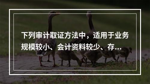 下列审计取证方法中，适用于业务规模较小、会计资料较少、存在问