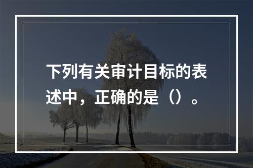 下列有关审计目标的表述中，正确的是（）。