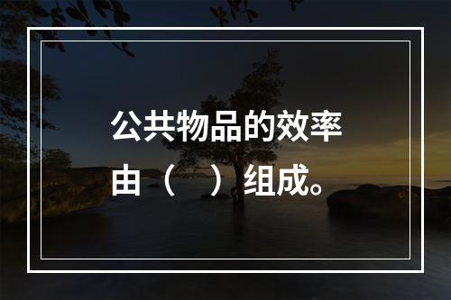 公共物品的效率由（　）组成。