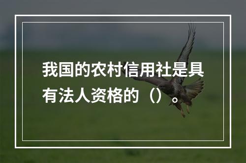 我国的农村信用社是具有法人资格的（）。