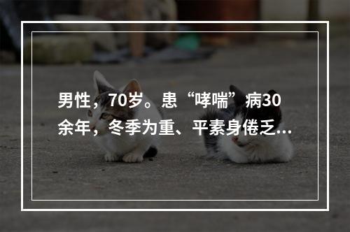 男性，70岁。患“哮喘”病30余年，冬季为重、平素身倦乏力