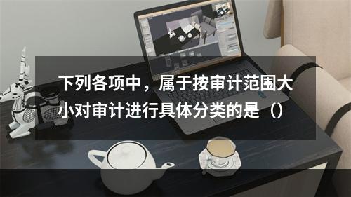 下列各项中，属于按审计范围大小对审计进行具体分类的是（）