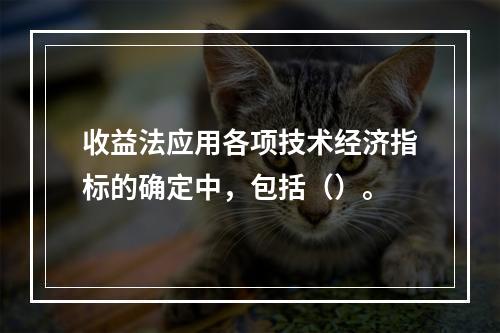 收益法应用各项技术经济指标的确定中，包括（）。