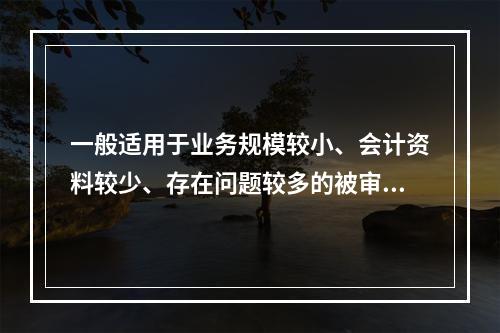 一般适用于业务规模较小、会计资料较少、存在问题较多的被审计单