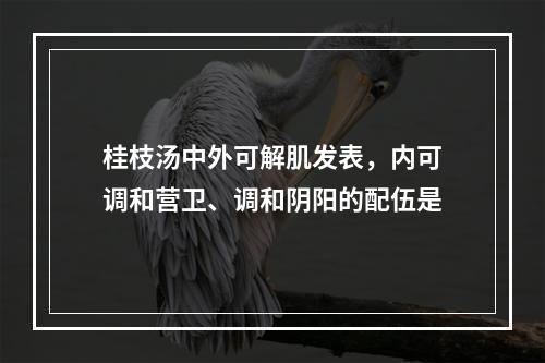 桂枝汤中外可解肌发表，内可调和营卫、调和阴阳的配伍是