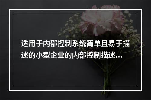 适用于内部控制系统简单且易于描述的小型企业的内部控制描述方法