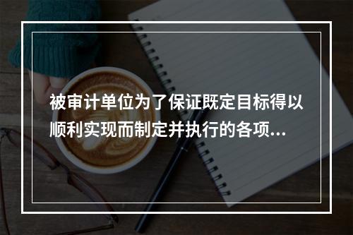 被审计单位为了保证既定目标得以顺利实现而制定并执行的各项控制