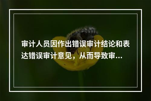 审计人员因作出错误审计结论和表达错误审计意见，从而导致审计组