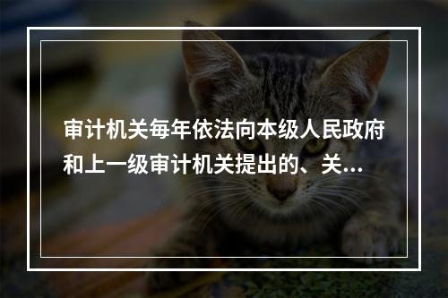 审计机关毎年依法向本级人民政府和上一级审计机关提出的、关于审