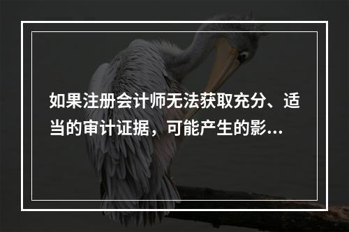 如果注册会计师无法获取充分、适当的审计证据，可能产生的影响非