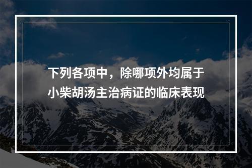 下列各项中，除哪项外均属于小柴胡汤主治病证的临床表现