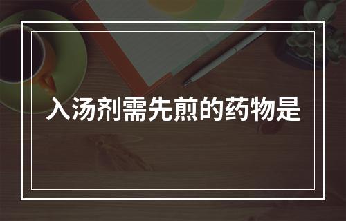 入汤剂需先煎的药物是