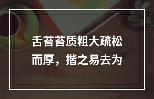 舌苔苔质粗大疏松而厚，揩之易去为