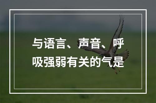 与语言、声音、呼吸强弱有关的气是