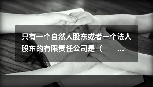 只有一个自然人股东或者一个法人股东的有限责任公司是（　　）。