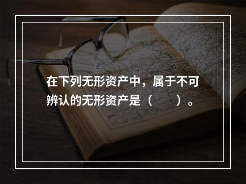 在下列无形资产中，属于不可辨认的无形资产是（　　）。