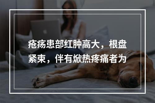 疮疡患部红肿高大，根盘紧束，伴有焮热疼痛者为