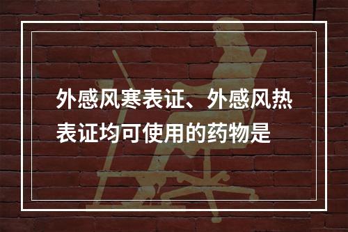 外感风寒表证、外感风热表证均可使用的药物是