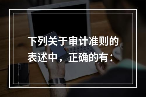 下列关于审计准则的表述中，正确的有：