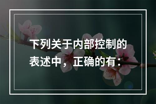 下列关于内部控制的表述中，正确的有：