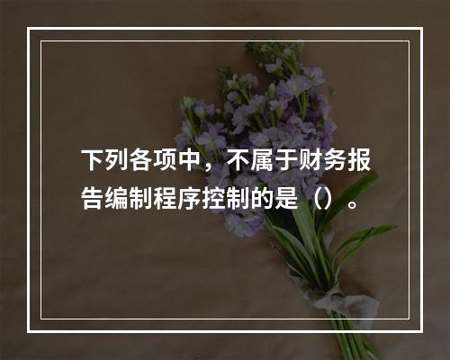 下列各项中，不属于财务报告编制程序控制的是（）。