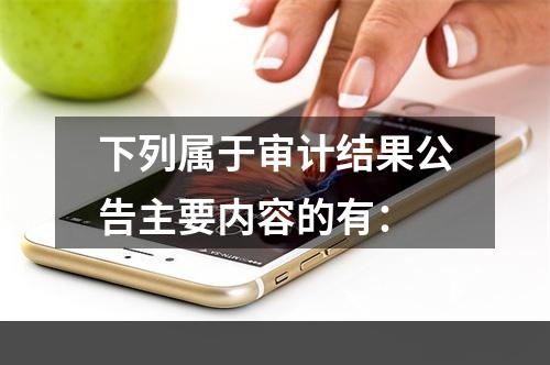 下列属于审计结果公告主要内容的有：