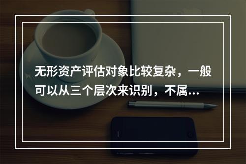 无形资产评估对象比较复杂，一般可以从三个层次来识别，不属于这