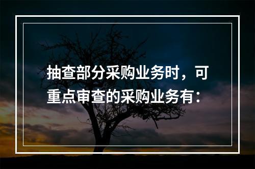 抽查部分采购业务时，可重点审查的采购业务有：