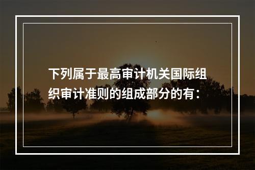 下列属于最高审计机关国际组织审计准则的组成部分的有：