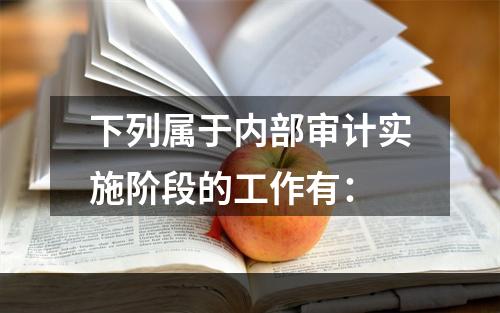 下列属于内部审计实施阶段的工作有：