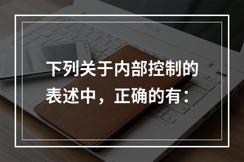 下列关于内部控制的表述中，正确的有：