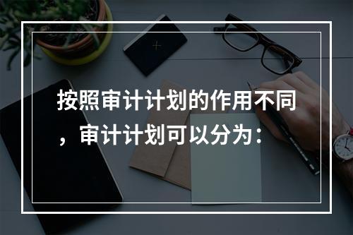 按照审计计划的作用不同，审计计划可以分为：