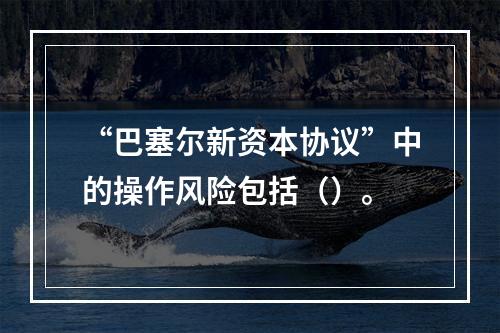 “巴塞尔新资本协议”中的操作风险包括（）。