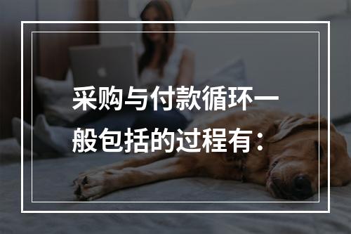 采购与付款循环一般包括的过程有：