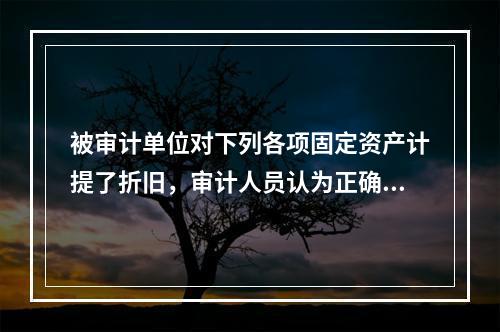 被审计单位对下列各项固定资产计提了折旧，审计人员认为正确的有