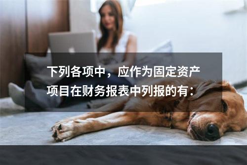 下列各项中，应作为固定资产项目在财务报表中列报的有：