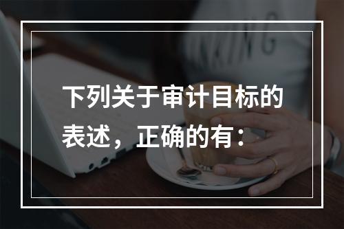 下列关于审计目标的表述，正确的有：