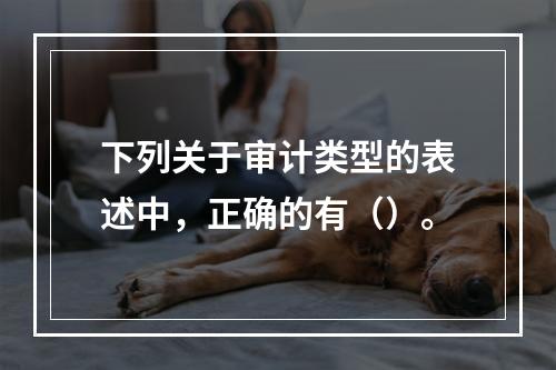 下列关于审计类型的表述中，正确的有（）。