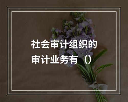 社会审计组织的审计业务有（）