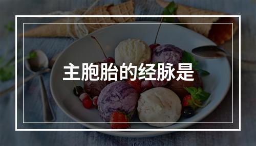 主胞胎的经脉是