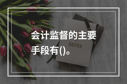 会计监督的主要手段有()。